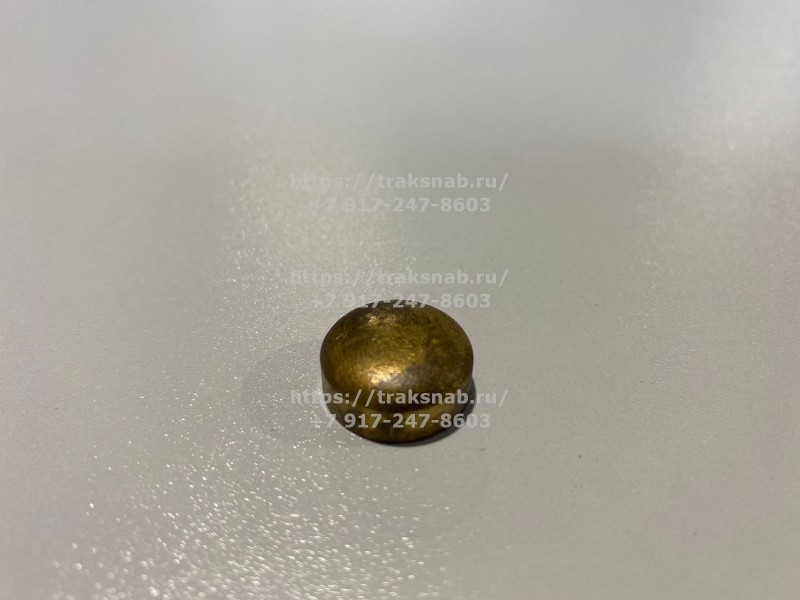 Заглушка головки блока Д-245 — 1