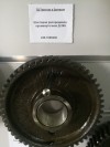 Шестерня распредвала промежуточная Д-245, миниатюра — 1