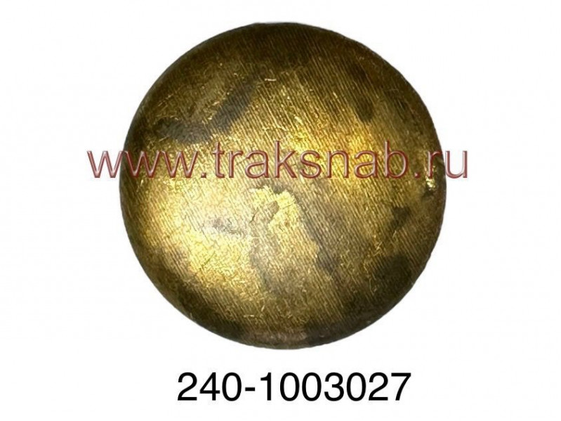 Заглушка головки блока 21г (латунь) — 1